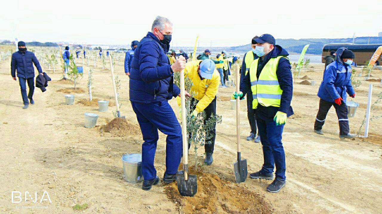 Ekologiya və Təbii Sərvətlər Nazirliyi və Bakı Nəqliyyat Agentliyinin birgə təşkilatçılığı ilə Xocasən-Lökbatan yolunun ətrafında ağacəkmə aksiyası keçirilib