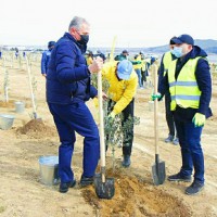 Ekologiya və Təbii Sərvətlər Nazirliyi və Bakı Nəqliyyat Agentliyinin birgə təşkilatçılığı ilə Xocasən-Lökbatan yolunun ətrafında ağacəkmə aksiyası keçirilib