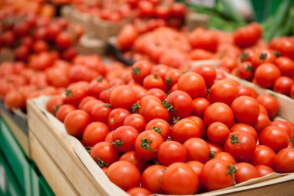 Rusiya Azərbaycanın 126 pomidor istehsalı müəssisəsinə bu ölkəyə məhsul ixracına icazə verib