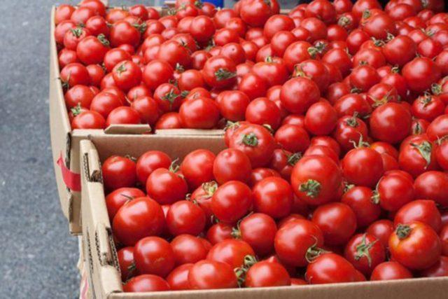 Rusiya Azərbaycanın daha beş müəssisəsindən pomidor idxalına icazə verib